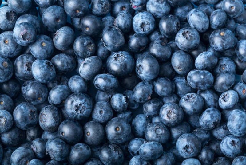 global blueberries.jpg